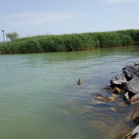 Lägenhet Lelle Cb34 Balatonlelle
